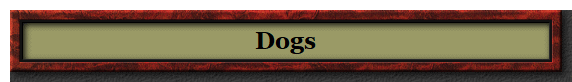 Dogs